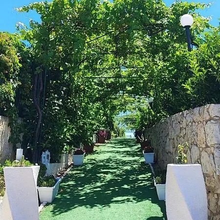 Antonella Bed & Breakfast *
